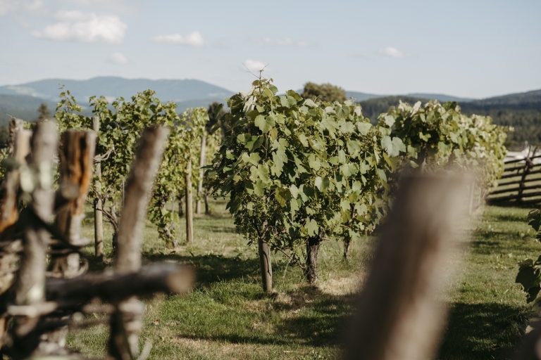 Hochzeitslocation St. Anna am Masenberg & Bratlalm/Wenigzell