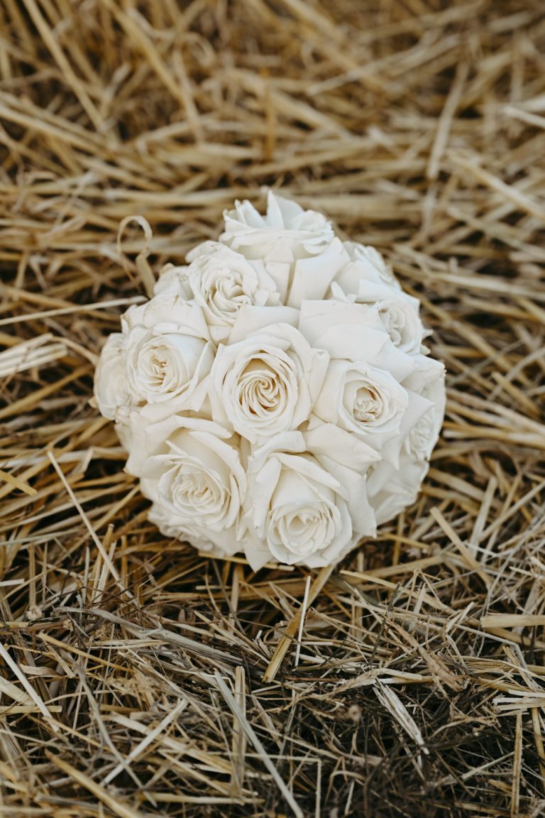 Hochzeitslocation St. Anna am Masenberg & Bratlalm/Wenigzell